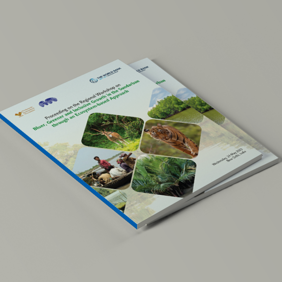 BIISS: Proceeding on the Regional Workshop